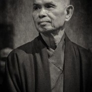 “Cammina lentamente. Non avere fretta. Ogni passo che fai ti porta verso il momento più bello della tua vita, il momento presente.” (Thich Nhat Hanh)