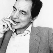 “Se alzi un muro pensa a cosa lasci fuori” (Italo Calvino)