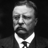 “Fai quello che puoi, dove puoi, con quello che hai.” (Theodore Roosevelt)