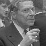 “Niente è più triste della morte di un’illusione” (Arthur Koestler)