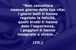 “Non cancellare nessun giorno della tua vita: i giorni belli ti hanno regalato la felicità, quelli brutti ti hanno dato l’esperienza, i peggiori ti hanno insegnato a vivere…”
