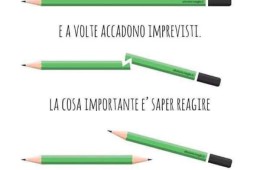“A volte nella vita tutto fila liscio e a volte accadono imprevisti la cosa importante è saper reagire trasformando i problemi in opportunità” (Cit.)