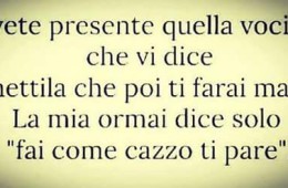 Avete presente quella vocina che vi dice “smettila che poi ti farai male”? La mia ormai dice solo “fai come cazzo ti pare”