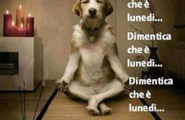 Dimentica che è lunedì… Dimentica che è lunedì… Dimentica che è lunedì…