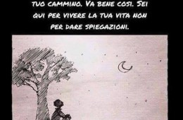 Non tutti comprenderanno il tuo cammino. Va bene così. Sei qui per vivere la tua vita non per dare spiegazioni