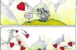 Eco amore