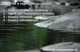 PNL – le 4 regole del successo