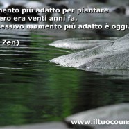 “Il momento più adatto per piantare un albero era venti anni fa. Il successivo momento più adatto è oggi.” (Detto Zen)