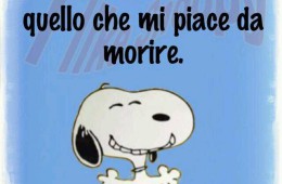 Mi accontento solo di quello che mi piace da morire