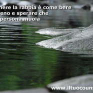 “Trattenere la rabbia è come bere del veleno e sperare che l’altra persona muoia.”