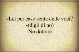 “Lei per caso sente delle voci?” “(Digli di no)” “No dottore.”