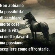 “Non abbiamo la possibilità di cambiare molte cose che la vita ci mette davanti, ma possiamo scegliere come affrontarle, quanto farci influenzare da esse… e quanto lasciare che ci trasformino dentro.” (Kate Kann)