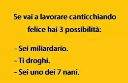 “Se vai a lavorare canticchiando felice hai 3 possibilità: Sei miliardario, ti droghi, sei uno dei 7 nani”