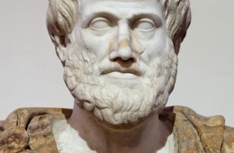 “Ciò che dobbiamo imparare a fare, lo impariamo facendo.” (Aristotele)