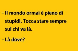 “Il mondo ormai e pieno di stupidi. Tocca stare sempre sul chi va là” – “Là dove?”