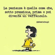 La pazienza è quella cosa che, sotto pressione, prima o poi diventa un vaffanculo. (Roberta Yang)