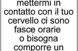 Scusa ma per mettermi in contatto con il tuo cervello ci sono fasce orarie o bisogna comporre un numero verde?