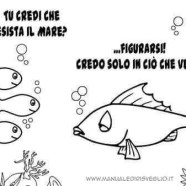 Tu credi che esista il mare? …Figurarsi! Credo solo in ciò che vedo.