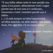 “È una follia odiare tutte le rose solo perché una spina ti ha punto, abbandonare tutti i sogni perché uno di loro non si è realizzato, rinunciare a tutti i tentativi perché uno è fallito. (…) Ci sarà sempre un’altrà opportunità, un’altra amicizia, un altro amore, una nuova forza. Per ogni fine c’è un nuovo inizio.” (Antoine de Saint-Exupéry)