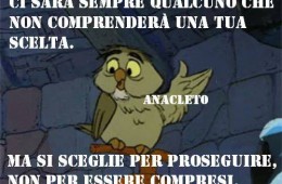 “Ci sarà sempre qualcuno che non comprenderà una tua scelta. Ma si sceglie per proseguire, non per essere compresi.” (Anacleto)