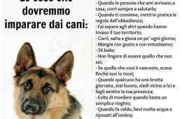 “Le cose che dovremmo imparare dai cani”