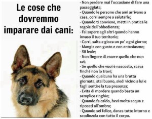 "Le cose che dovremmo imparare dai cani"