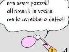“Non sono pazzo!! Altrimenti le vocine me lo avrebbero detto!!” (Cavez)