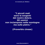 “I piccoli mali sono le sorgenti del nostro dolore. Gli uomini non inciampano nelle montagne ma sulle pietre.” (Proverbio cinese)