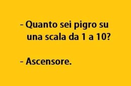 “Quanto sei pigro su una scala da 1 a 10? Ascensore”