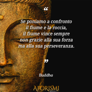 “Se poniamo a confronto il fiume e la roccia, il fiume vince sempre non grazie alla sua forza ma alla sua perseveranza.” (Buddha)