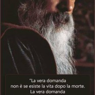 “La vera domanda non è se esiste la vita dopo la morte. La vera domanda è se hai vissuto prima della morte.” (Osho)