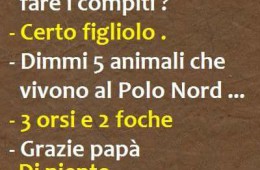 “Papà mi aiuteresti a fare i compiti?” – “Certo figliolo.” – “Dimmi 5 animali che vivono al Polo Nord…” – “3 orsi e 2 foche.” – “Grazie papà.” – “Di niente…”