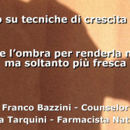 Seminario – Illuminare l’ombra per renderla meno buia ma soltanto più fresca