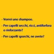 “Vorrei uno shampoo.” – “Per capelli secchi, ricci, antiforfora o rinforzante?” – “Per capelli sporchi, ne avete?”