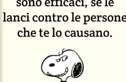 “Le palline anti stress sono efficaci, se le lanci contro le persone che te lo causano.”