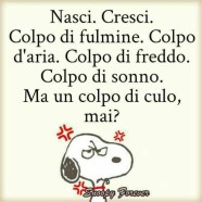 “Nasci. Cresci. Colpo di fulmine. Colpo d’aria. Colpo di freddo. Colpo di sonno. Ma un colpo di culo, mai?”