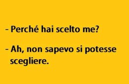 “Perché hai scelto me?” – “Ah, non sapevo si potesse scegliere.”