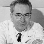 “Se non è in tuo potere cambiare una situazione che ti crea dolore, potrai sempre escogitare l’attitudine con la quale affrontare questa sofferenza.” (Viktor Frankl)