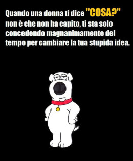 “Quando una donna ti dice COSA? non è che non ha capito, ti sta solo concedendo magnanimamente del tempo per cambiare la tua stupida idea.”
