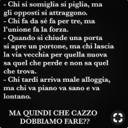 “Chi si somiglia si piglia, ma gli opposti si attraggono. Chi fa da sé fa per tre, ma l’unione fa la forza. Quando si chiude una porta si apre un portone, ma chi lascia la via vecchia per quella nuova sa quel che perde e non sa quel che trova. Chi tardi arriva male alloggia ma chi va piano va sano e va lontano. MA QUINDI CHE CAZZO DOBBIAMO FARE?”