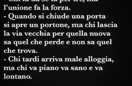 “Chi si somiglia si piglia, ma gli opposti si attraggono. Chi fa da sé fa per tre, ma l’unione fa la forza. Quando si chiude una porta si apre un portone, ma chi lascia la via vecchia per quella nuova sa quel che perde e non sa quel che trova. Chi tardi arriva male alloggia ma chi va piano va sano e va lontano. MA QUINDI CHE CAZZO DOBBIAMO FARE?”