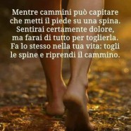 “Dice il saggio: Mentre cammini può capitare che metti il piede su una spina. Sentirai certamente dolore, ma farai di tutto per toglierla. Fa lo stesso nella tua vita: togli le spine e riprendi il cammino.”