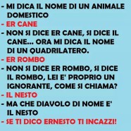 “Mi dica il nome di un animale domestico.” “Er cane.”