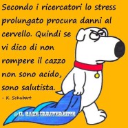 “Secondo i ricercatori lo stress prolungato procura danni al cervello. Quindi se vi dico di non rompere il cazzo non sono acido, sono salutista.” (K. Schubert)