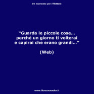 “Guarda le piccole cose… perché un giorno ti volterai e capirai che erano grandi…”