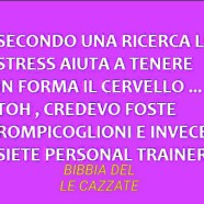 “Secondo una ricerca lo stress aiuta a tenere in forma il cervello… Toh, credevo foste rompicoglioni e invece siete personal trainer”