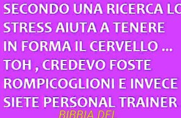 “Secondo una ricerca lo stress aiuta a tenere in forma il cervello… Toh, credevo foste rompicoglioni e invece siete personal trainer”