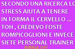 “Secondo una ricerca lo stress aiuta a tenere in forma il cervello… Toh, credevo foste rompicoglioni e invece siete personal trainer”