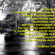 “Ci sono delusioni che pesano sul cuore come macigni, andare avanti diventa difficile. Ma tu ricorda sempre che, qualunque cosa accada potranno frantumare un sogno ma non la tua capacità di rialzarti e credere che tu meriti molto di più. Combatti e affronta la delusione con quella luce che arriva dritta dritta da dentro di te!” (Stephen Littleword)