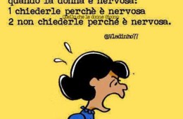 “Cose da non fare assolutamente quando la donna è nervosa: 1 – chiederle perché è nervosa 2 – non chiederle perché è nervosa.”